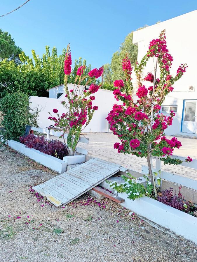 Apollonio Suites & Rooms Faliraki Rhodes Exterior photo